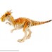 Jurassic World Pack Dracorex B07FDR3L2X